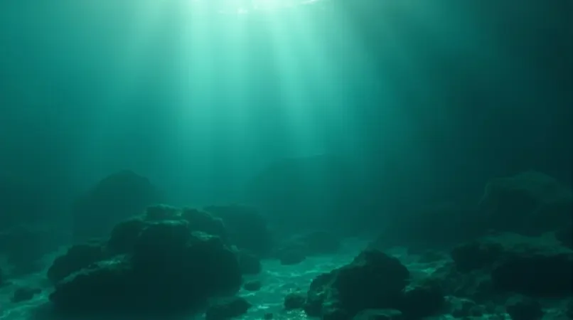 深蓝秘境封面
